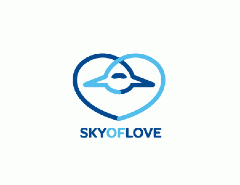 Airplane Logo Design for your Inspiration