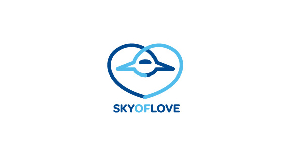 Airplane Logo Design for your Inspiration