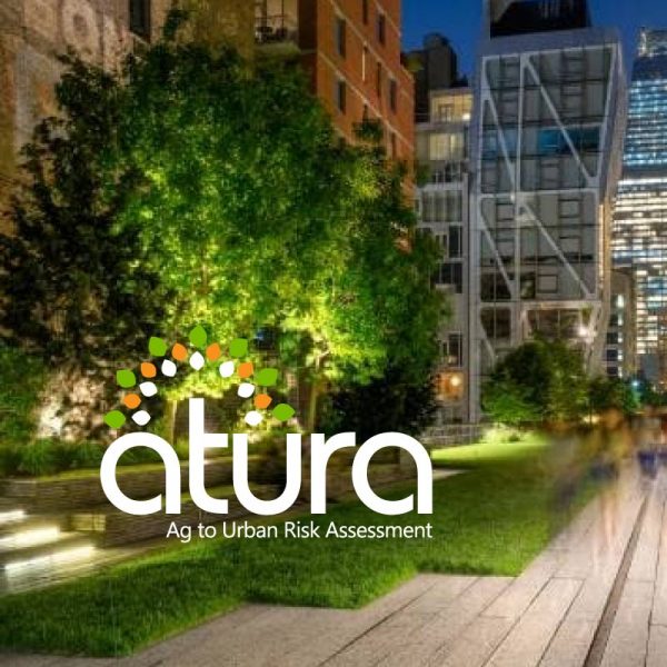 Atura Urban Risk Management Services Logo